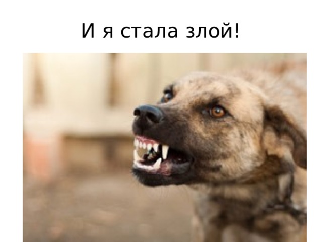И я стала злой! 