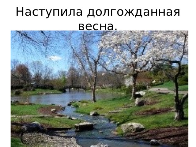 Наступила долгожданная весна. 