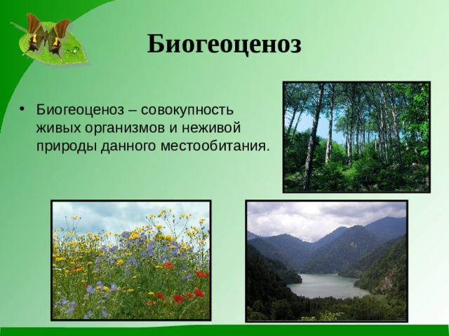 Биогеоценоз Биогеоценоз – совокупность живых организмов и неживой природы данного местообитания. 