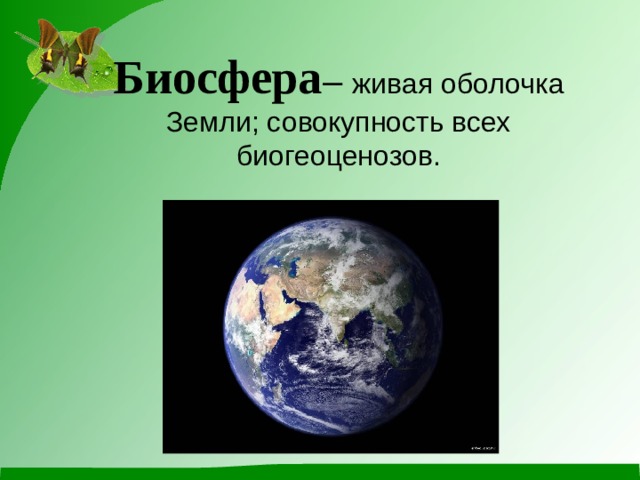 Биосфера – живая оболочка Земли; совокупность всех биогеоценозов.   