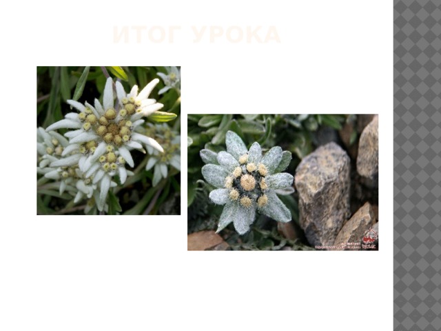 Итог урока 