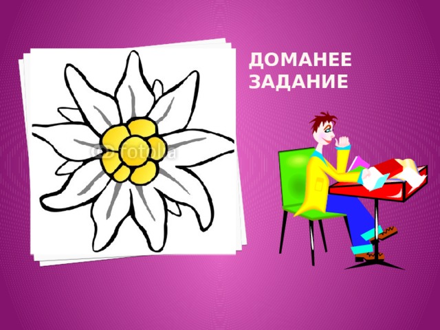 Доманее задание 