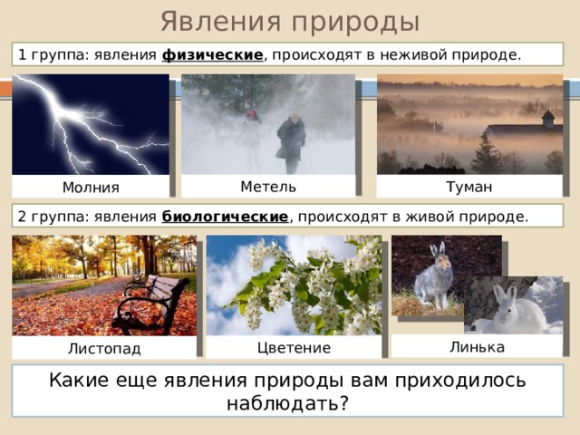 Явления природы 1 группа: явления физические , происходят в неживой природе. Метель Туман Молния 2 группа: явления биологические , происходят в живой природе. Линька Цветение Листопад Какие еще явления природы вам приходилось наблюдать? 