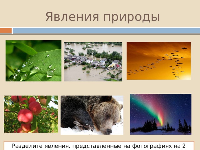 Явления природы Разделите явления, представленные на фотографиях на 2 группы. 
