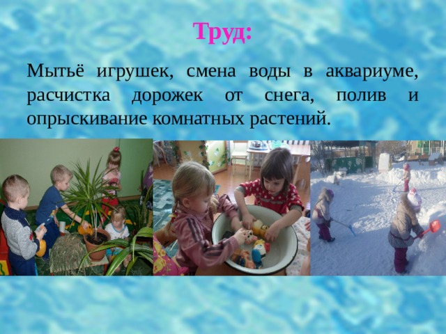 Труд: Мытьё игрушек, смена воды в аквариуме, расчистка дорожек от снега, полив и опрыскивание комнатных растений. 