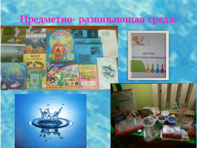 Предметно- развивающая среда: 
