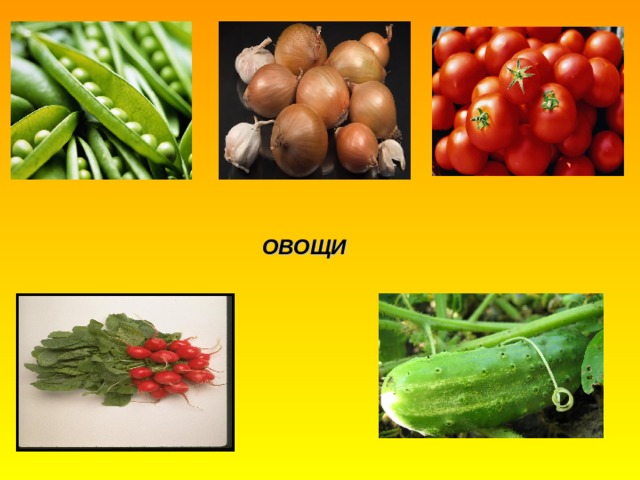 ОВОЩИ 