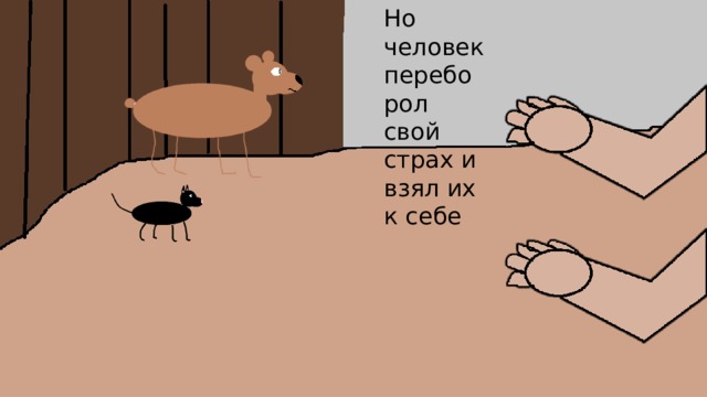 Но человек переборол свой страх и взял их к себе 
