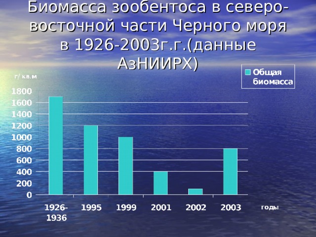 Биомасса зообентоса в северо-восточной части Черного моря  в 1926-2003г.г.(данные АзНИИРХ) 