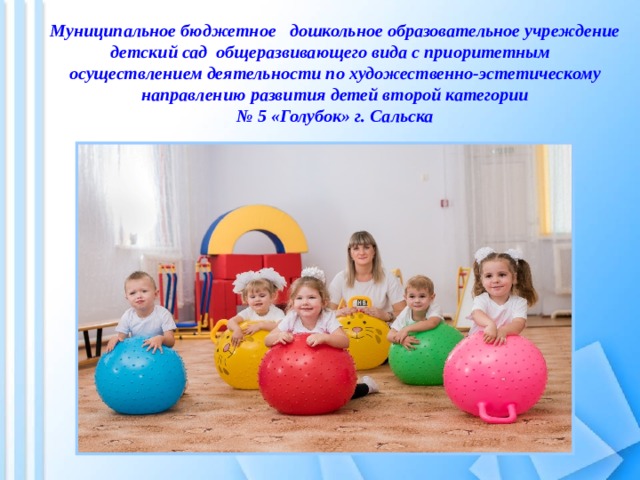    Муниципальное бюджетное дошкольное образовательное учреждение детский сад общеразвивающего вида с приоритетным осуществлением деятельности по художественно-эстетическому направлению развития детей второй категории  № 5 «Голубок» г. Сальска         