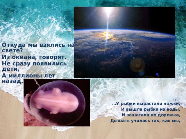 Откуда мы взялись на свете? Из океана, говорят. Не сразу появились дети, А миллионы лет назад… … У рыбки вырастали ножки, И вышла рыбка из воды, И зашагала по дорожке, Дышать училась так, как мы, 