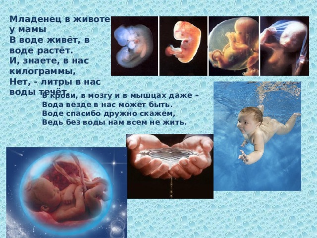 Младенец в животе у мамы В воде живёт, в воде растёт. И, знаете, в нас килограммы, Нет, - литры в нас воды течёт. В крови, в мозгу и в мышцах даже – Вода везде в нас может быть. Воде спасибо дружно скажем, Ведь без воды нам всем не жить. 