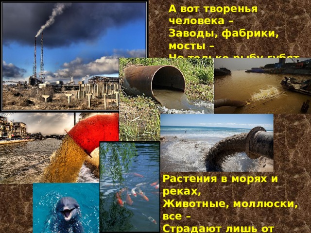 А вот творенья человека – Заводы, фабрики, мосты – Не только рыбу губят в реках, Их загрязняя, знаешь ты? Растения в морях и реках, Животные, моллюски, все – Страдают лишь от человека, Ведь навредить он может всем. 