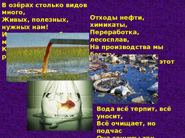 В озёрах столько видов много, Живых, полезных, нужных нам! И вмиг они погибнуть могут, Как только сбросят в реку хлам. Отходы нефти, химикаты, Переработка, лесосплав, На производства мы богаты, Куда же деть весь этот склад? Вода всё терпит, всё уносит, Всё очищает, но подчас Она защиты так попросит: Погибнет всё, что есть у нас. 