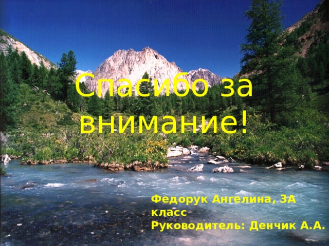 Спасибо за внимание!  Федорук Ангелина, 3А класс  Руководитель: Денчик А.А. 