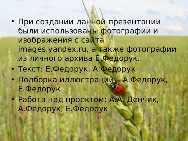 При создании данной презентации были использованы фотографии и изображения с сайта images.yandex.ru, а также фотографии из личного архива Е.Федорук. Текст: Е.Федорук, А.Федорук Подборка иллюстраций – А.Федорук, Е.Федорук Работа над проектом: А.А. Денчик, А.Федорук, Е.Федорук 