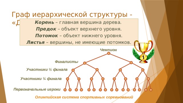 Граф иерархической структуры - «Дерево» Корень – главная вершина дерева. Предок – объект верхнего уровня. Потомок – объект нижнего уровня. Листья – вершины, не имеющие потомков. Чемпион Финалисты Участники ½ финала Участники ¼ финала Первоначальные игроки Олимпийская система спортивных соревнований 