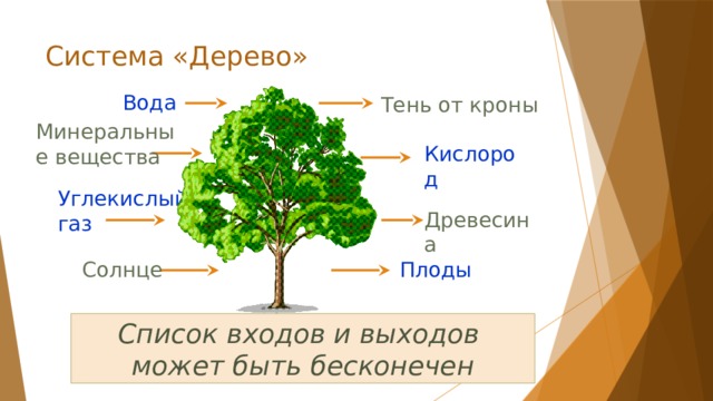 Система «Дерево» Вода Тень от кроны Минеральные вещества Кислород Углекислый газ Древесина Солнце Плоды Список входов и выходов  может быть бесконечен 