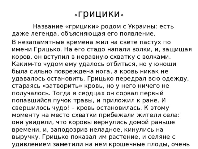 « грицики »  Название «грицики» родом с Украины: есть даже легенда, объясняющая его появление. В незапамятные времена жил на свете пастух по имени Грицько. На его стадо напали волки, и, защищая коров, он вступил в неравную схватку с волками. Каким-то чудом ему удалось отбиться, но у юноши была сильно повреждена нога, а кровь никак не удавалось остановить. Грицько передрал всю одежду, стараясь «затворить» кровь, но у него ничего не получалось. Тогда в сердцах он сорвал первый попавшийся пучок травы, и приложил к ране. И свершилось чудо! – кровь остановилась. К этому моменту на место схватки прибежали жители села: они увидели, что коровы вернулись домой раньше времени, и, заподозрив неладное, кинулись на выручку. Грицько показал им растение, и селяне с удивлением заметили на нем крошечные плоды, очень похожие на сумку пастуха. С тех пор и звали растение грициками или попросту пастушьей сумкой. 