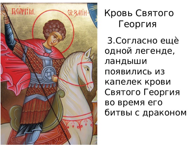 Кровь Святого Георгия  3.Согласно ещѐ одной легенде, ландыши появились из капелек крови Святого Георгия во время его битвы с драконом 
