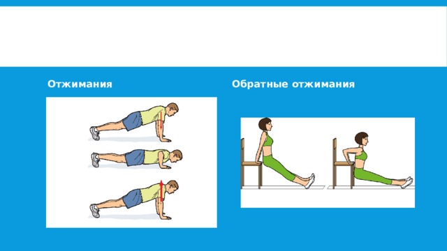 Отжимания Обратные отжимания 