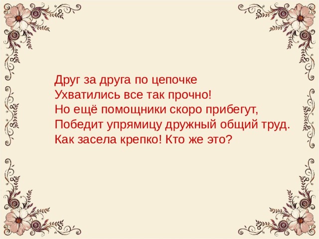 Друг за друга по цепочке  Ухватились все так прочно!  Но ещё помощники скоро прибегут,  Победит упрямицу дружный общий труд.  Как засела крепко! Кто же это? 