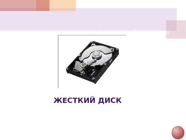 Назовите устройство, изображенное на рисунке   Жесткий диск