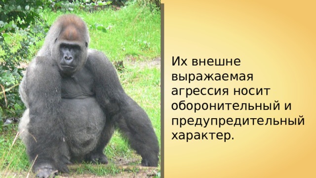 Их внешне выражаемая агрессия носит оборонительный и предупредительный характер. Raul654 