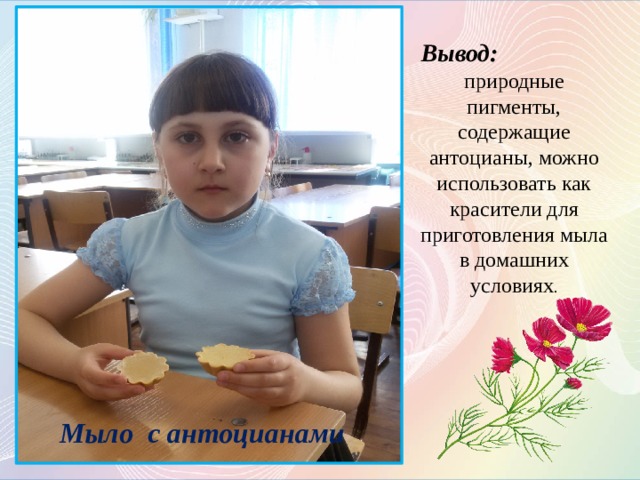 Вывод:  природные пигменты, содержащие антоцианы, можно использовать как красители для приготовления мыла в домашних условиях .  Мыло с антоцианами Мыло с антоцианами  
