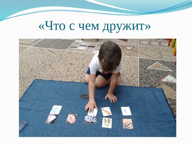 «Что с чем дружит» 