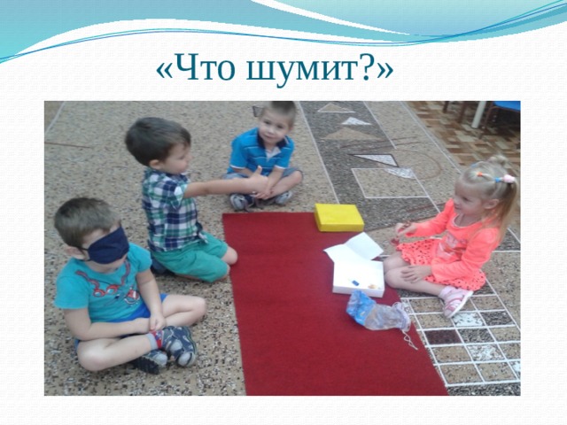 «Что шумит?» 