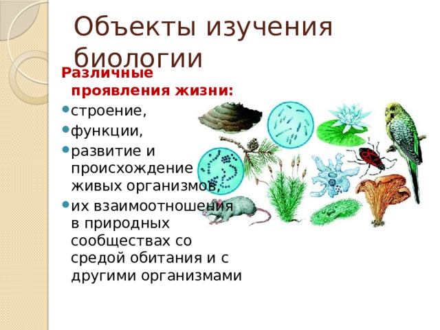 Объекты изучения биологии Различные проявления жизни: строение, функции, развитие и происхождение живых организмов, их взаимоотношения в природных сообществах со средой обитания и с другими организмами 
