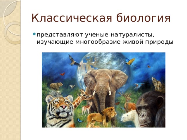 Классическая биология представляют ученые-натуралисты, изучающие многообразие живой природы 