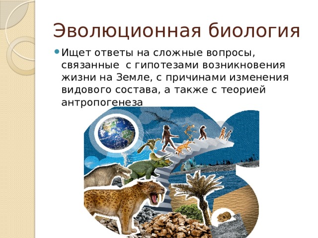 Эволюционная биология Ищет ответы на сложные вопросы, связанные с гипотезами возникновения жизни на Земле, с причинами изменения видового состава, а также с теорией антропогенеза 