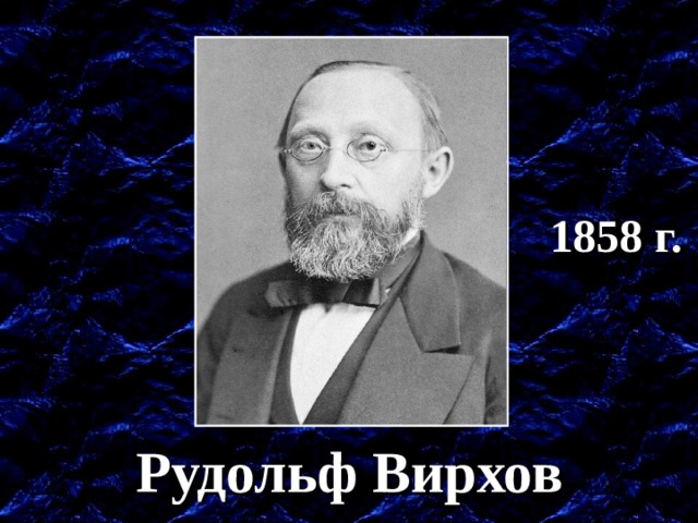 1858 г. Существенная поправка клеточной теории – клетки появляются при делении других клеток. Рудольф Вирхов  