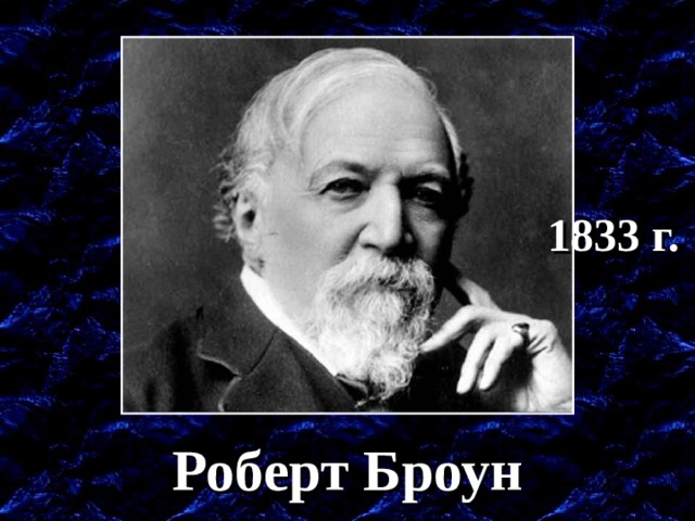 1833 г. 1833 – обнаружил ядро. Роберт Броун  