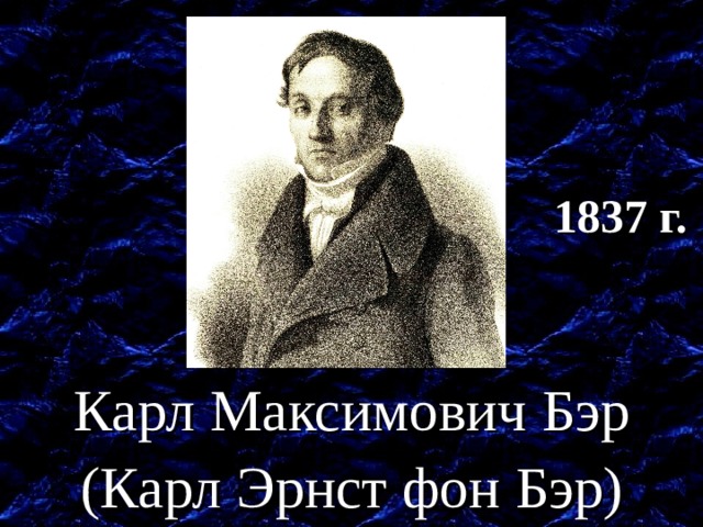 1837 г. Доказал, что все организмы развиваются из яйцеклетки. Карл Максимович Бэр (Карл Эрнст фон Бэр)  