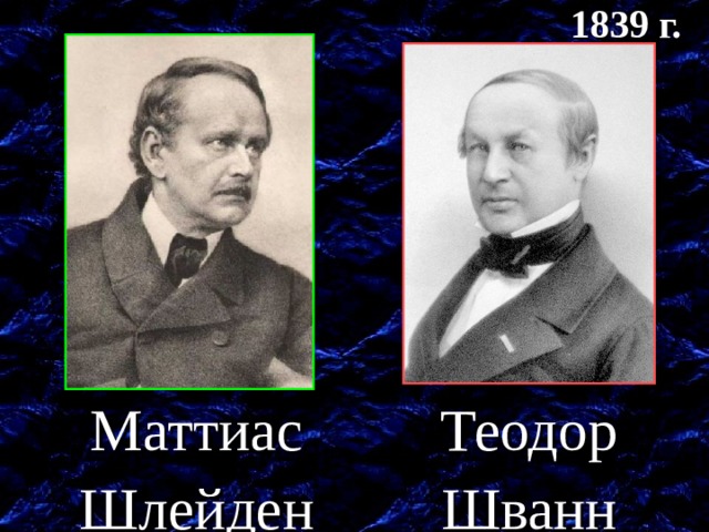 1839 г. Ботаник Шлейден и зоолог Шванн авторы клеточной теории. Маттиас Шлейден Теодор Шванн  