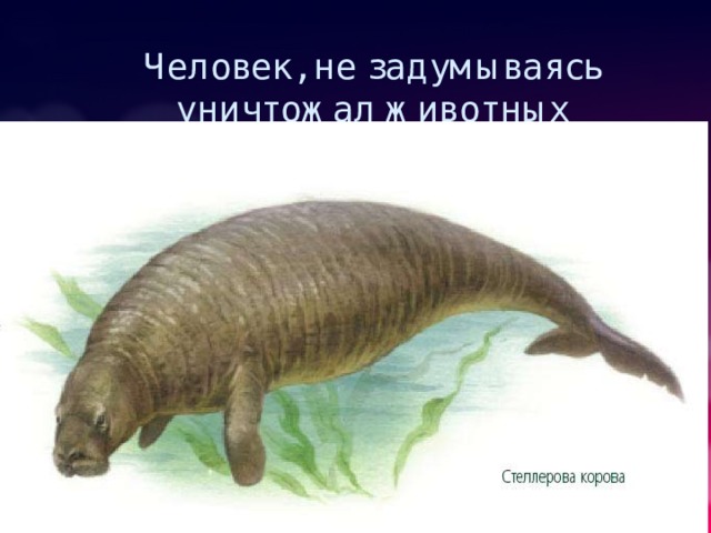 Человек, не задумываясь уничтожал животных 