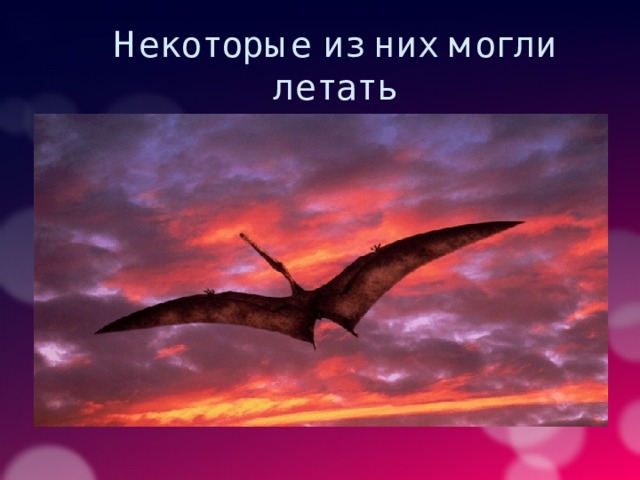 Некоторые из них могли летать 