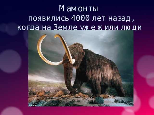 Мамонты  появились 4000 лет назад, когда на Земле уже жили люди 