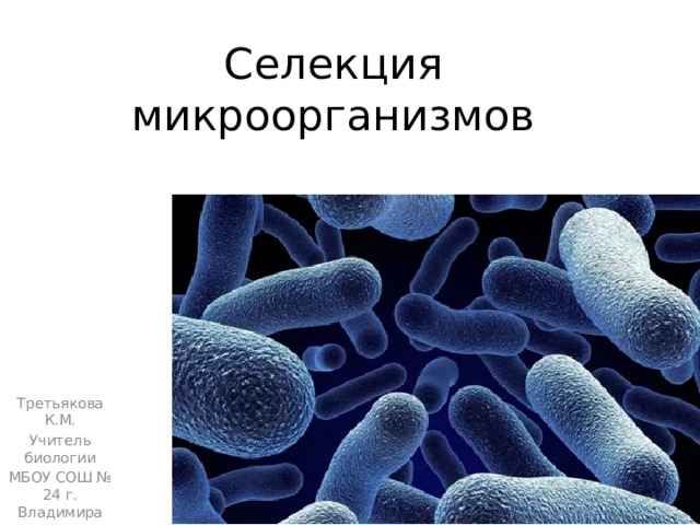 Селекция микроорганизмов Третьякова К.М. Учитель биологии МБОУ СОШ № 24 г. Владимира 
