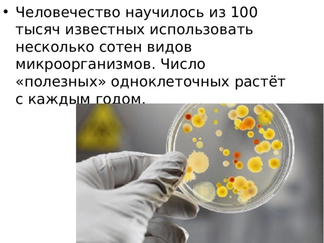 Человечество научилось из 100 тысяч известных использовать несколько сотен видов микроорганизмов. Число «полезных» одноклеточных растёт с каждым годом. 
