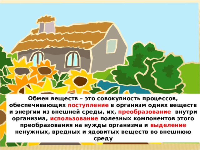 Обмен веществ – это совокупность процессов, обеспечивающих поступление в организм одних веществ и энергии из внешней среды, их, преобразование внутри организма, использование полезных компонентов этого преобразования на нужды организма и выделение ненужных, вредных и ядовитых веществ во внешнюю среду 