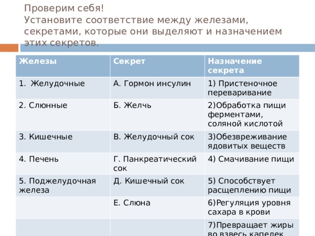 Проверим себя!  Установите соответствие между железами, секретами, которые они выделяют и назначением этих секретов. Железы Секрет Желудочные Назначение секрета А. Гормон инсулин 2. Слюнные Б. Желчь 1) Пристеночное переваривание 3. Кишечные 4. Печень В. Желудочный сок 2)Обработка пищи ферментами, соляной кислотой Г. Панкреатический сок 3)Обезвреживание ядовитых веществ 5. Поджелудочная железа 4) Смачивание пищи Д. Кишечный сок Е. Слюна 5) Способствует расщеплению пищи 6)Регуляция уровня сахара в крови 7)Превращает жиры во взвесь капелек 