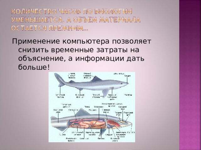 Применение компьютера позволяет снизить временные затраты на объяснение, а информации дать больше! 