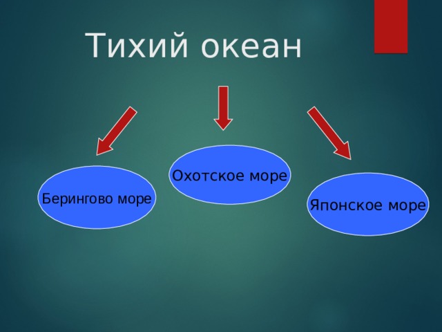 Тихий океан Охотское море Берингово море Японское море 