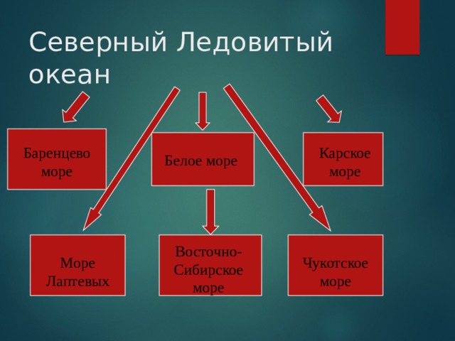 Северный Ледовитый океан Баренцево море Карское море Белое море Восточно-Сибирское море Чукотское море Море Лаптевых 