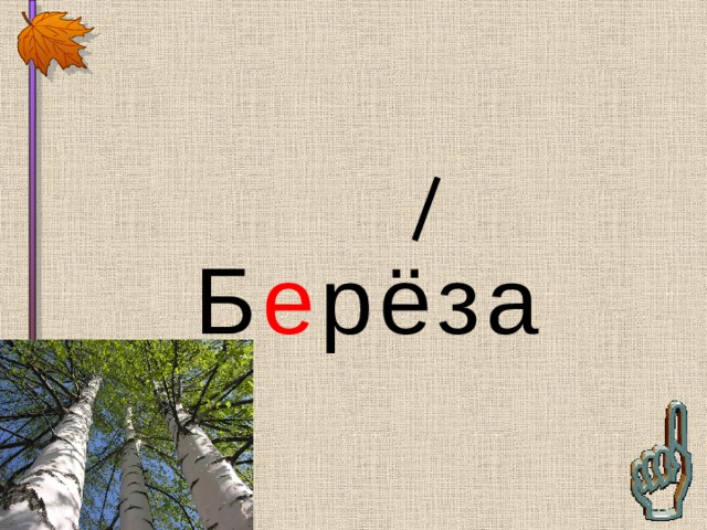 Б е рёза 