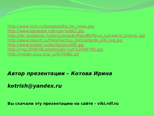 http:// www.lono.ru/images/elka_for_news.jpg http:// www.agropark.ru/krup-ris/ek2.jpg http:// dic.academic.ru/pictures/wiki/files/80/Pinus_sylvestris_branch.jpg http:// www.mount.ru/Foto/GornLiji_04/big/Igolki_elki_big.jpg http:// www.biodat.ru/db/rbp/pic/446.jpg http:// img-2008-06.photosight.ru/01/2699795.jpg http://meder.ucoz.org/_ si/0/70482.gif Автор презентации – Котова Ирина   kotrish@yandex.ru  Вы скачали эту презентацию на сайте - viki.rdf.ru 